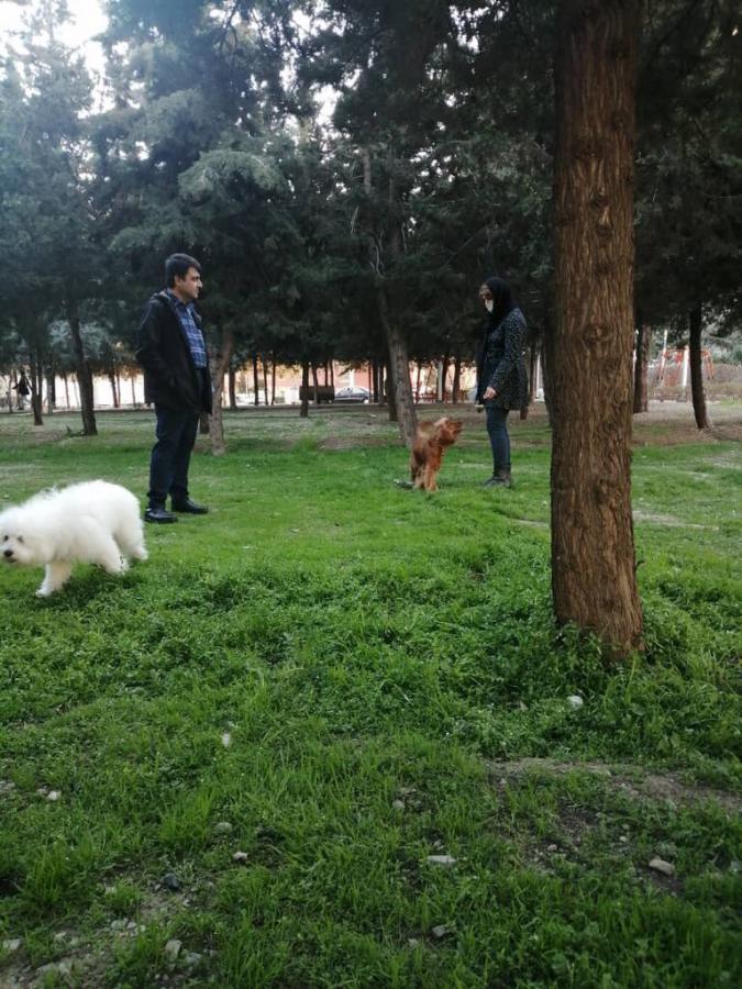دردسرها از ۶و۷سالگی بیشتر و دارو و درمان چند برابر می شود
