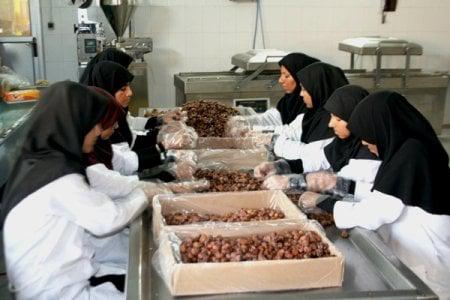 پرداخت وام ۱۰۰ میلیونی مشاغل خانگی/ مشمولان چه کسانی هستند؟/ جدول