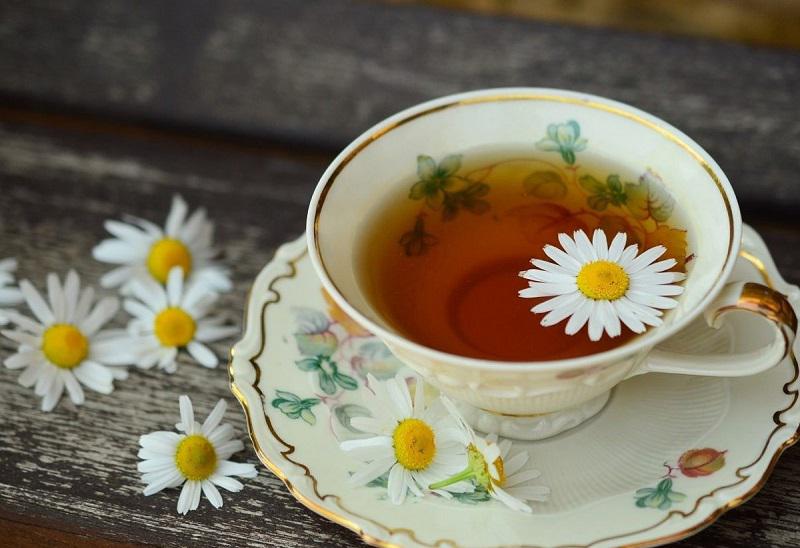 ۱۰ آنتی هیستامین گیاهی طبیعی برای آبریزش بینی