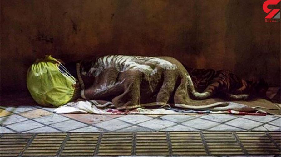 از فروش فرزند تا زندگی سیاه زن جوان