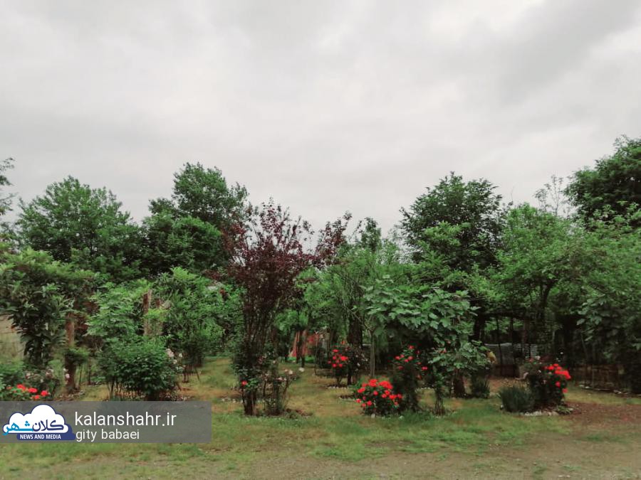 زمین بایری که در رشت به باغ و پارک تبدیل شد
