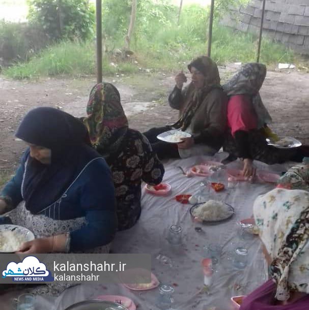 جزئیات طرح پیشنهادی احداث دو «پارکِ خوردنی» در رشت،شهر خلاق خوراک