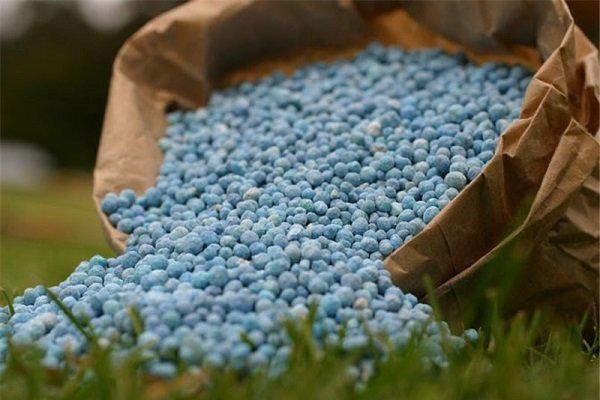 کاهش شدید پتاسیم در عرصه های شالیزاری گیلان