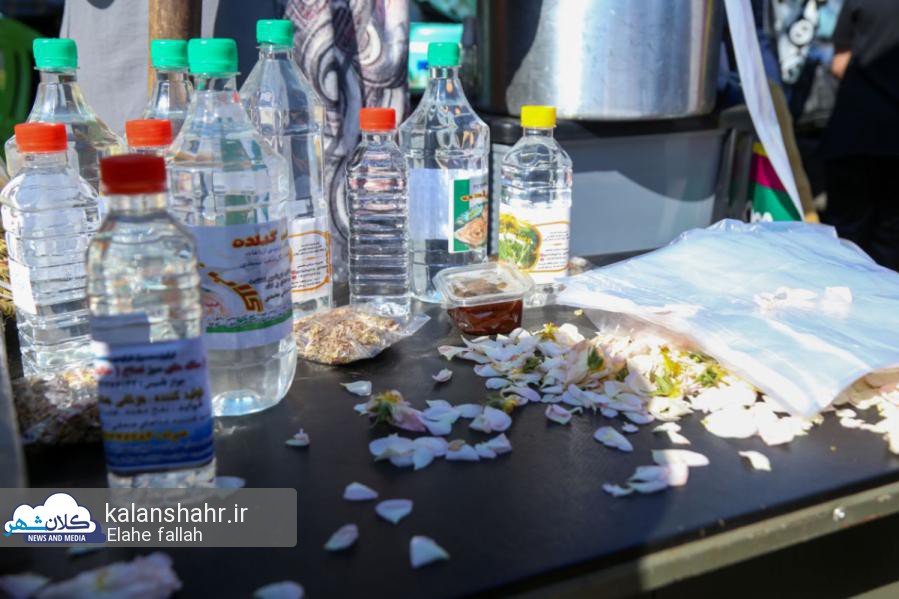 گزارش تصویری جشنواره گلاب گیری در گیلده شفت