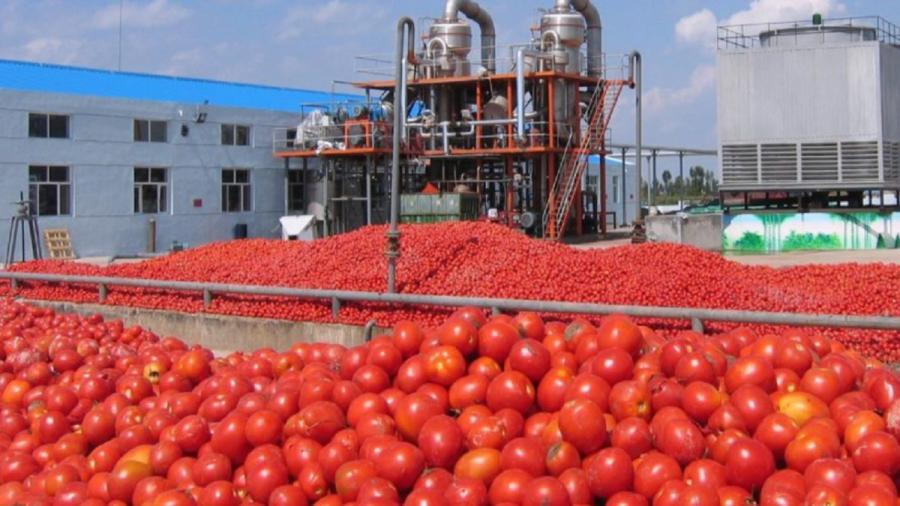 هیچ کمبودی وجود ندارد فقط کارخانه ها،رب تولید شده را به بازار نمی فرستند