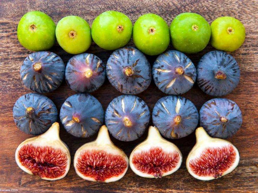 نکات مختلفی درباره میوه ی تازه و خشک انجیر که ممکن است برای شما جالب باشد