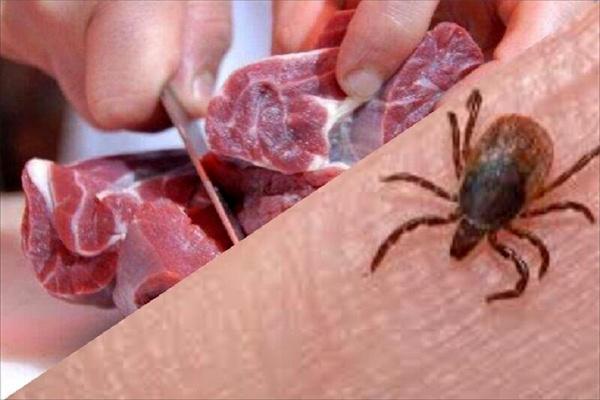 کاهش آمار مبتلایان به بیماری تب کریمه کنگو 