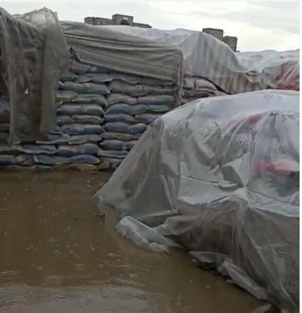 گمرک: «انبارهای عمومی» پاسخگوی برنج های باران زده باشد