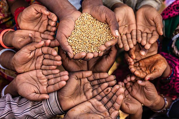 زنگ خطر بحران جهانی غذا به صدا درآمد!