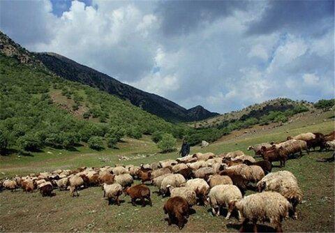 حال مراتع کشور خوب نیست