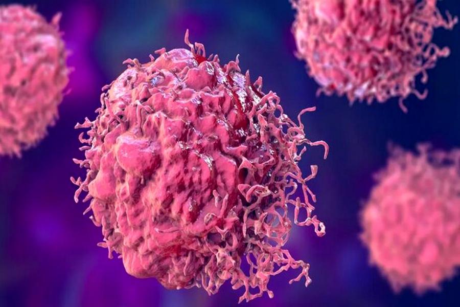 ماجرای ورود واکسن HPV به برنامه واکسیناسیون ملی/ چه کسانی می توانند واکسن HPV تزریق کنند؟
