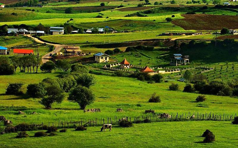 آب فروشی با نیسان های آبی در بامِ بی آب سیاهکل