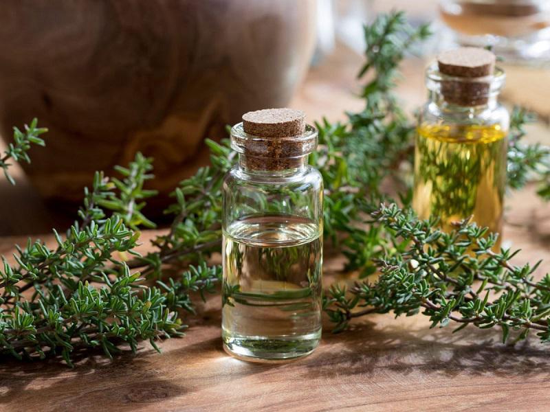 ۶ آنتی بیوتیک خانگی قوی خانگی