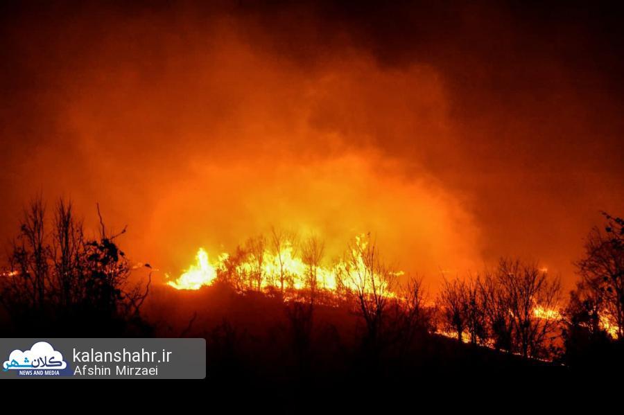  ۳۰ هکتار از جنگل های رودبار طعمه آتش شده است/ وزش باد گرم آتش را دوباره شعله ور کرده است 