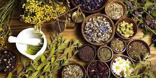 کدگذاری ۹۰۸ قلم داروی سنتی جهت نسخه نویسی الکترونیک/تسهیل استفاده از داروهای سنتی در طبابت