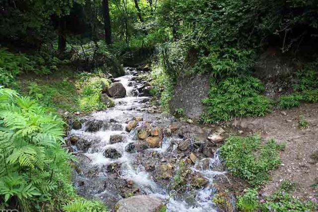 روستای ارده روستای ارده