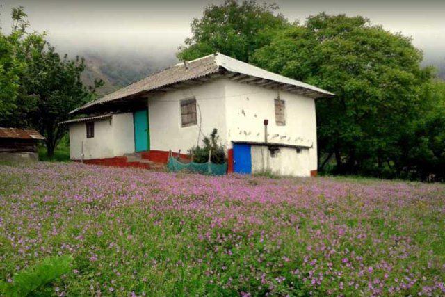 روستای ارده روستای ارده