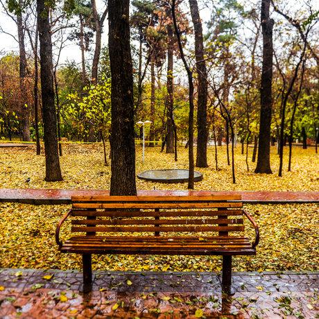  توصیه های سلامتی در آستانه تغییر فصل