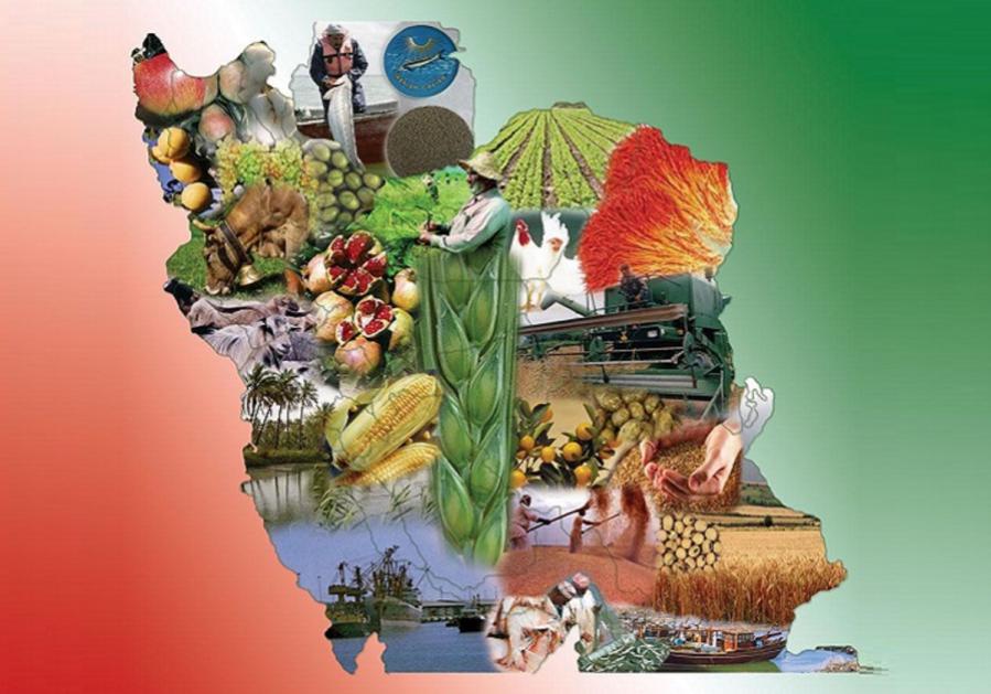 توافق با چین برای صادرات ۵ محصول کشاورزی ایران 