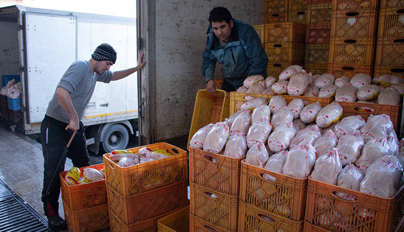 قیمت مرغ باز هم افزایش می یابد؟/ افزایش ۹۰ درصدی هزینه های تولید