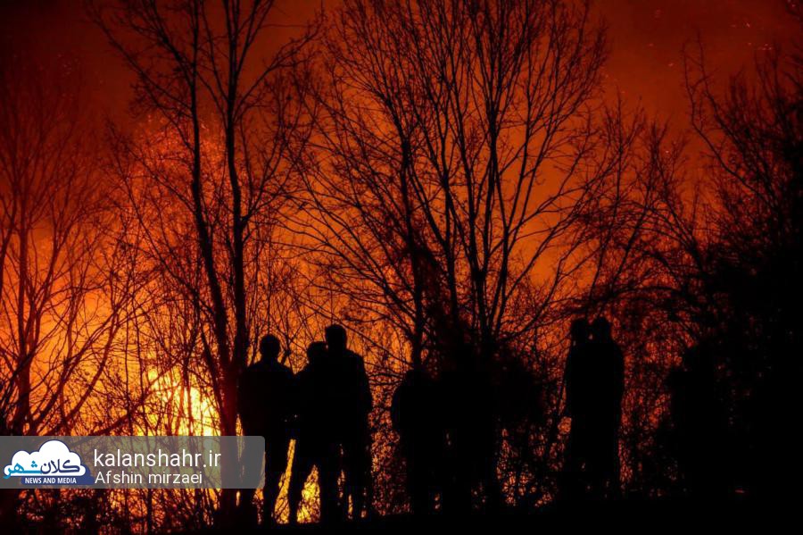 آتش سوزی در اراضی جنگلی ۳ شهرستان گیلان