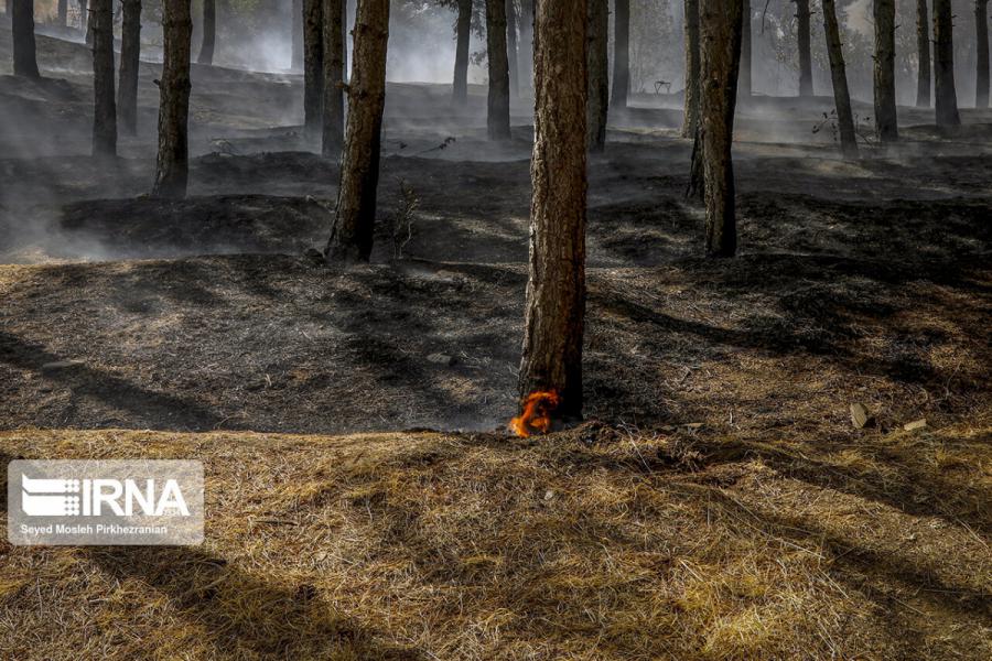 آتش‌سوزی‌ اراضی جنگلهای رودبار گیلان کامل مهار شد