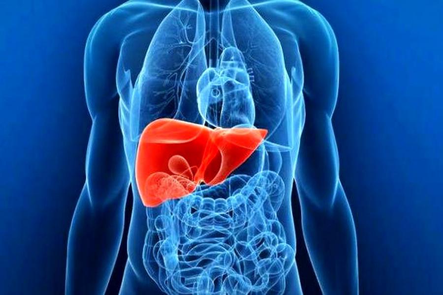  چگونه بفهمیم کبدمان خوب کار نمی کند؟ 