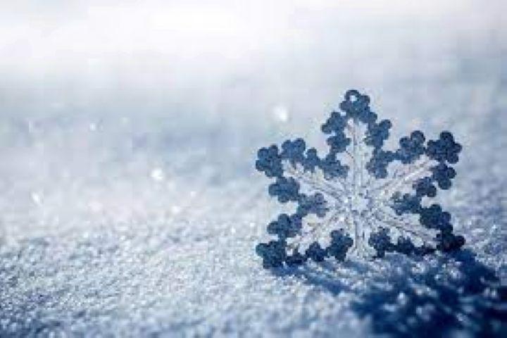 آیا سرما شما را بیمار می کند؟