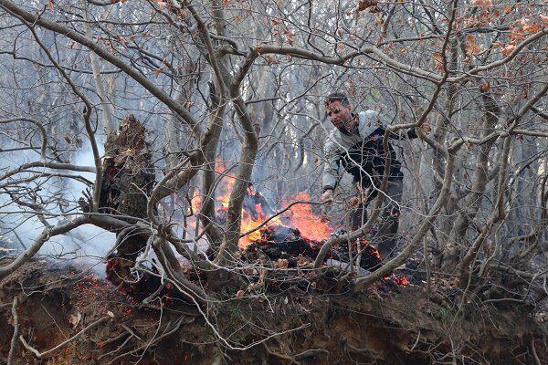 آتش سوزی اخیر جنگل های گیلان چقدر خطرناک بود؟