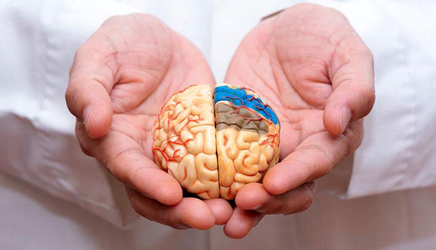سن ابتلا به آلزایمر به ۴۹ سالگی رسید