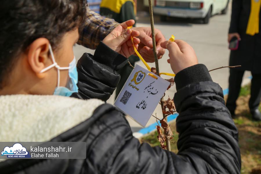 گزارش تصویری درخت کاری در بیمارستان ۱۷ شهریور رشت به نام کودکان مبتلا به سرطان