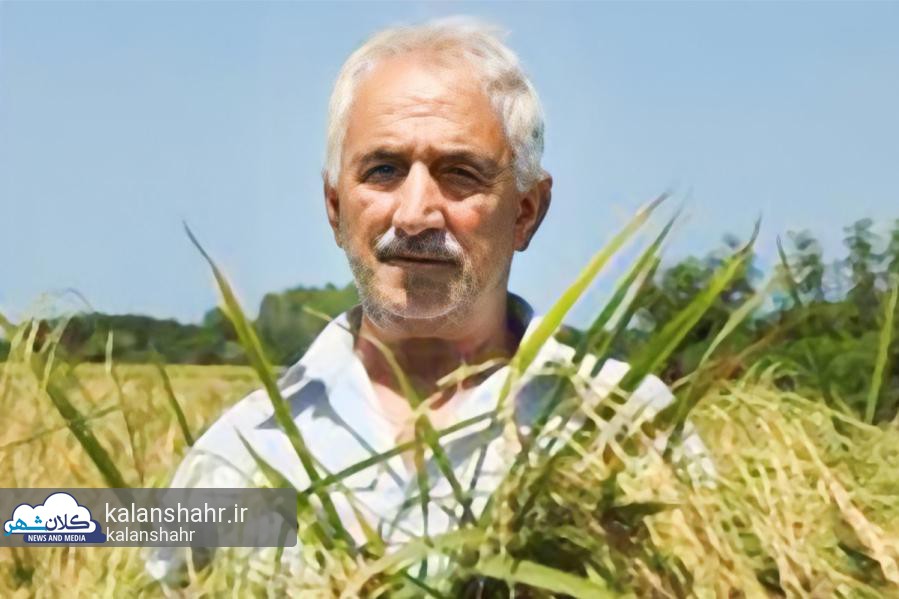 یوسف هاشمی، کاشف یکی از مرغوب ترین برنج های ایران در رشت درگذشت