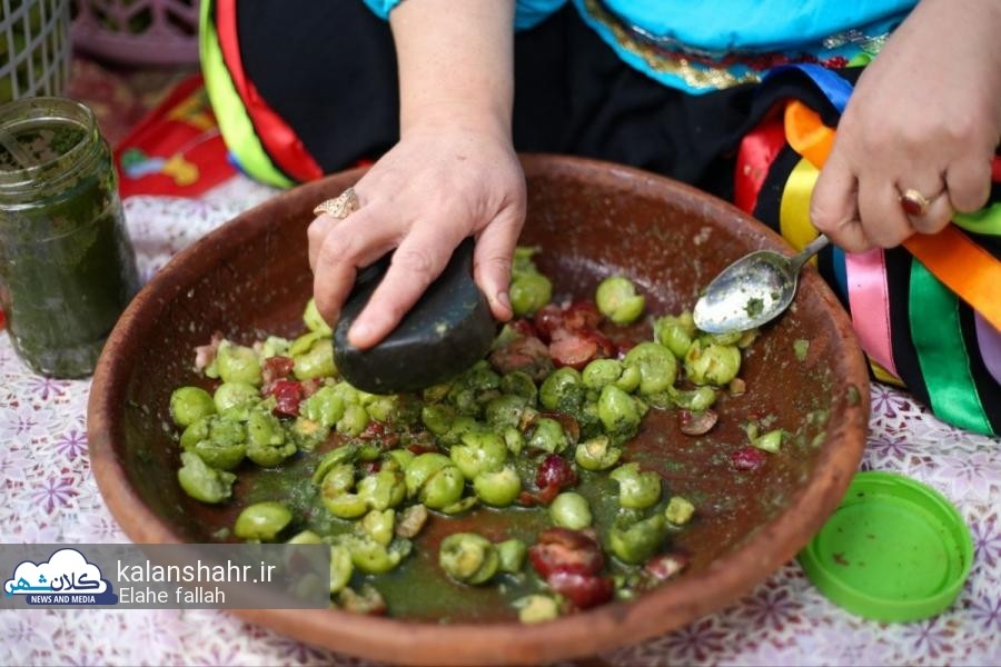 گزارش تصویری دومین جشنواره آلوچه در گوراب زرمیخ صومه سرا 