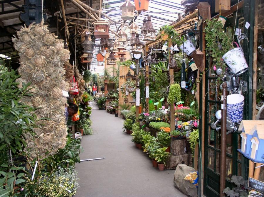 جشنواره و نمایشگاه ۴ روزه گل‌های زینتی و آپارتمانی در کیشستان صومعه سرا