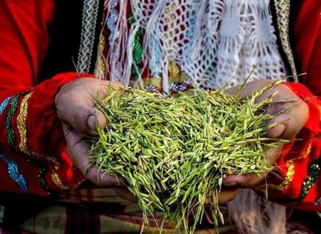 جشنواره جوکول در تولم شهر برگزار می‌شود