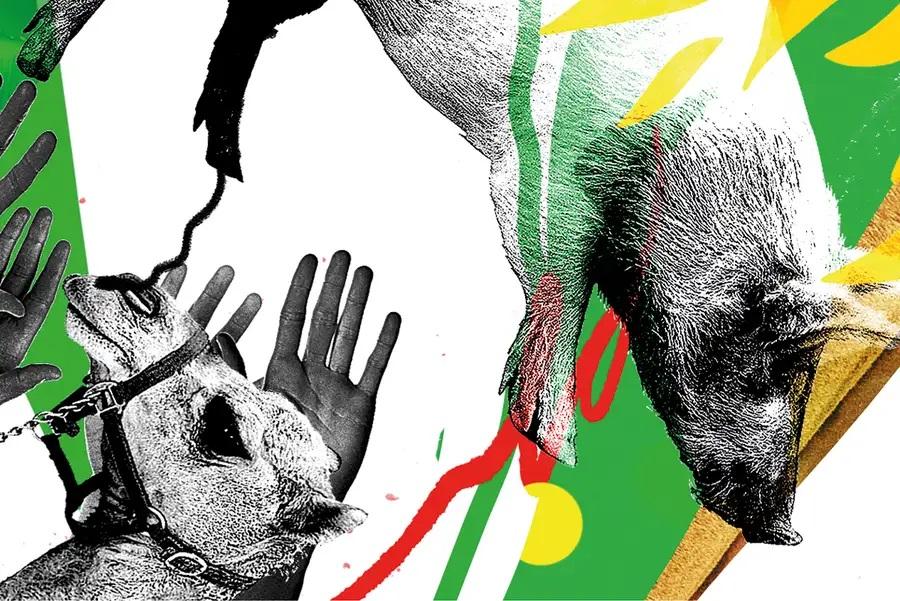 ۲۰۰ نوع بیماری مشترک بین انسان و حیوان در جهان شناسایی شده است