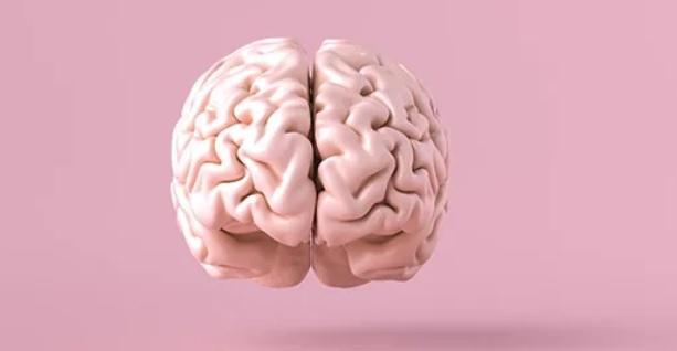 این بخش از مغز کل بدن را منجمد می کند