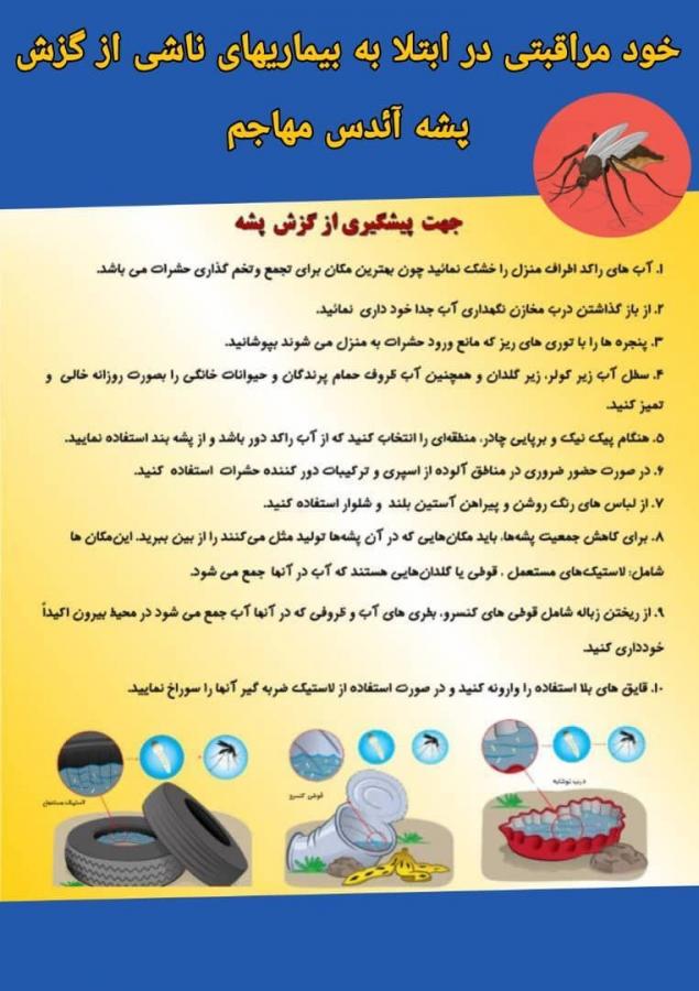 توصیه هایی برای در امان ماندن از گزش پشه آئدس و بیماری های ناشی از آن 