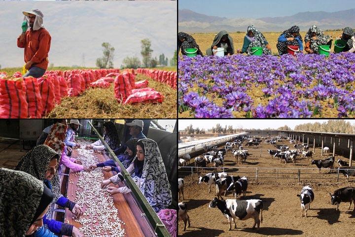  ۵۰۰ میلیون تومان، سقف وام اشتغال روستایی