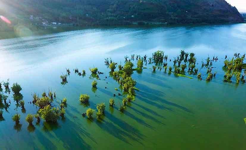 بارش های سیل آسا حیات طبیعی تالاب استیل آستارا را احیا کرد + تصاویر