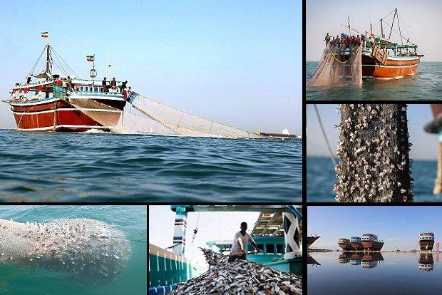 ذخایر دریایی تهدید می‌شوند