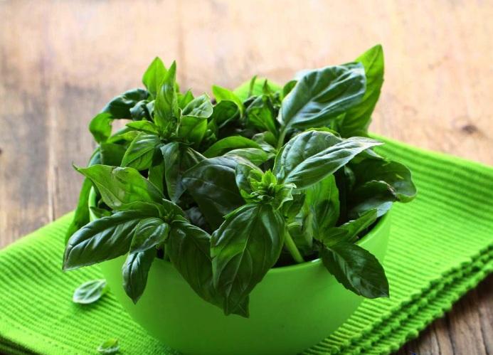  خواص شگفت انگیز ریحان برای سلامتی