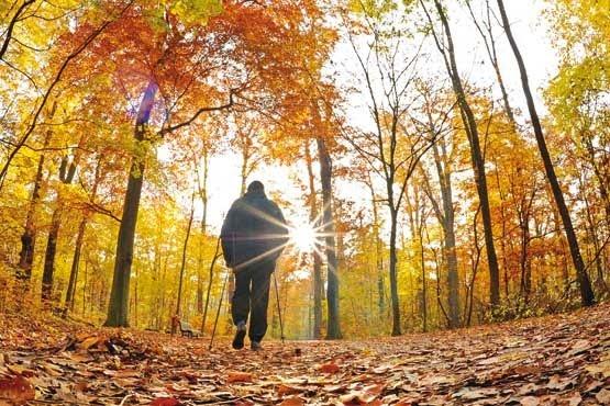 غمگین شده‌اید یا افسرده؛ تفاوت این دو را می‌دانید؟