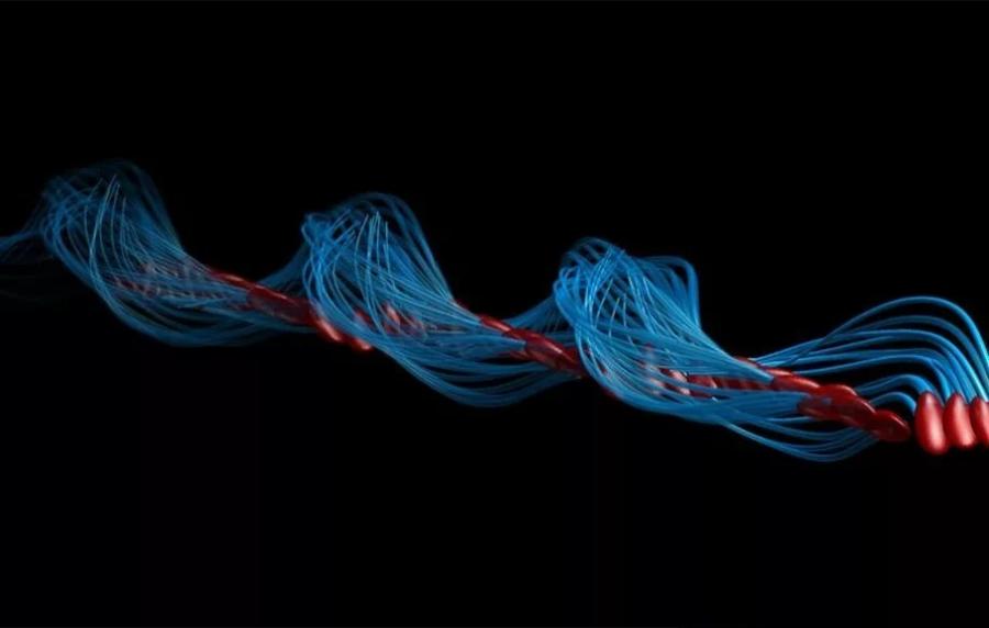 رمزگشایی از حرکت اسپرم؛ میکروارگانیسم‌هایی که قانون سوم نیوتن را نقض می‌کنند