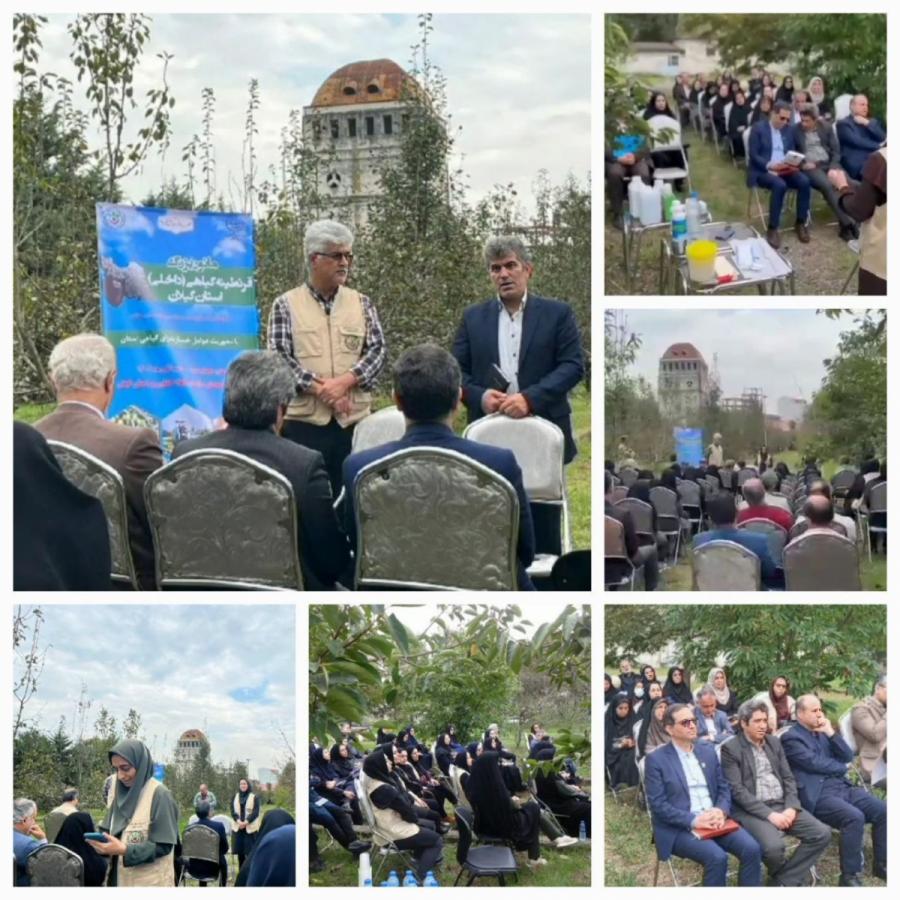 5 آفت و بیماری قرنطینه ای گیاهی در گیلان