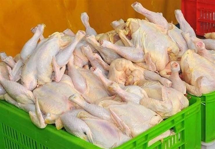 توزیع مرغ گرم از طریق سامانه ستکاوا از هفته آینده در گیلان