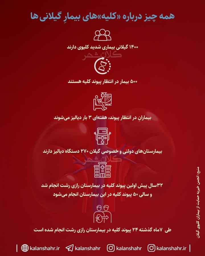 همه چیز درباره «کلیه» های بیمارِ گیلانی ها