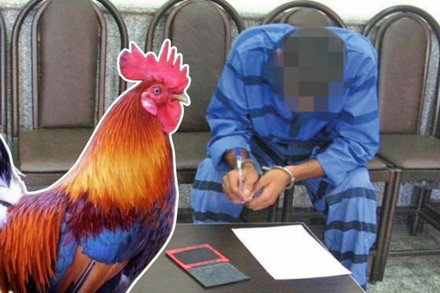سرقت ماشین با کمک مرغ و خروس!
