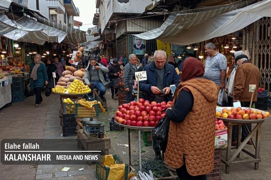  روز به روز قیمت دلار بالا می رود؛اما دولت آمار مثبت می دهد، احساس می کنم دولت درباره کشوری به جز ایران صحبت می کند