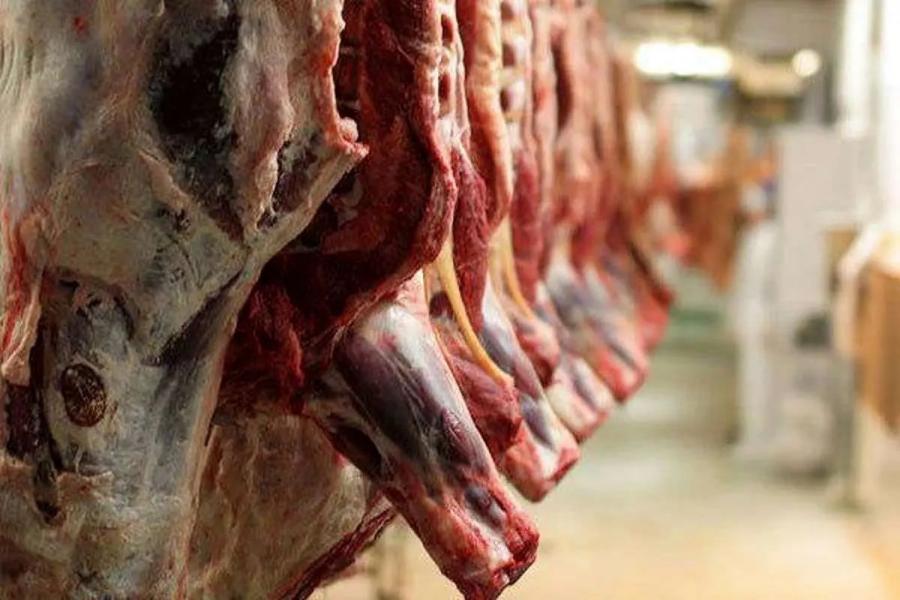 یک انبار بزرگ دپوی مواد غذایی فاسد در رشت پلمب شد